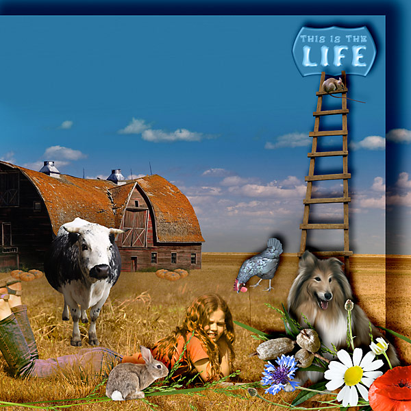 Farm Life