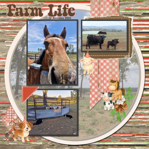 Farm Life