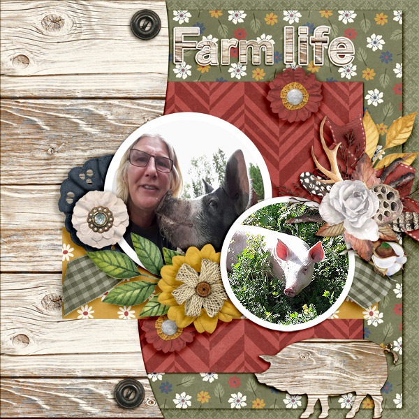 Farm-life1