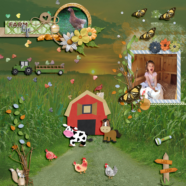 FARM -PAIRED -8-24
