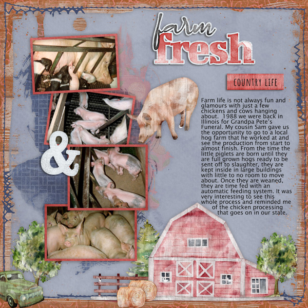 Farm Sweet Farm-Aimee