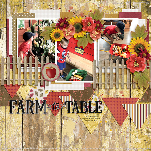 Farm To Table