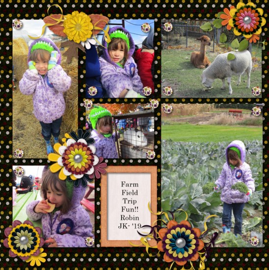 Farm Trip