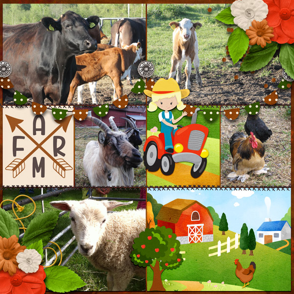 Farm
