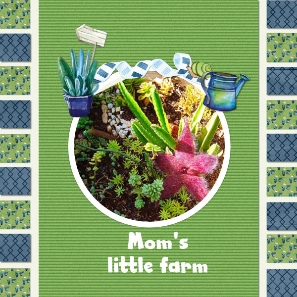 Farm