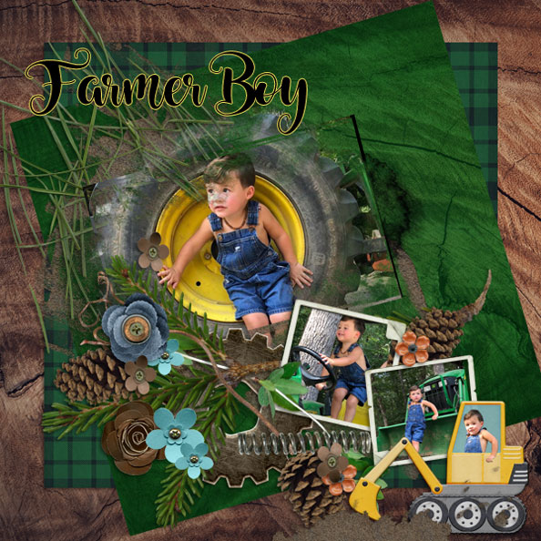 Farmer Boy