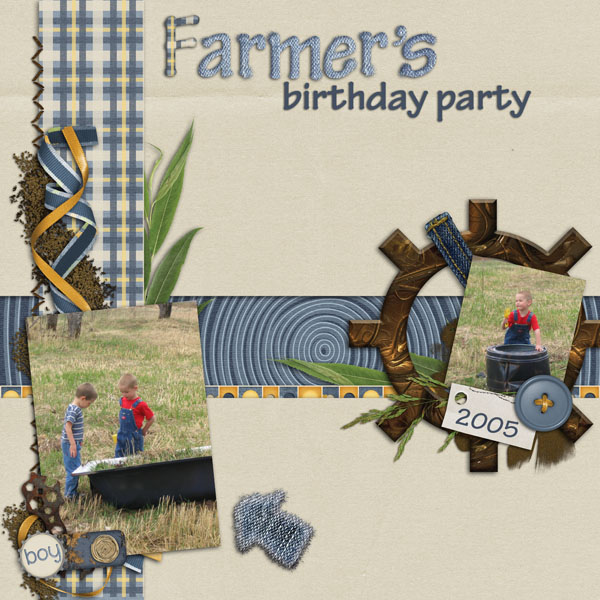 Farmer's birthday party