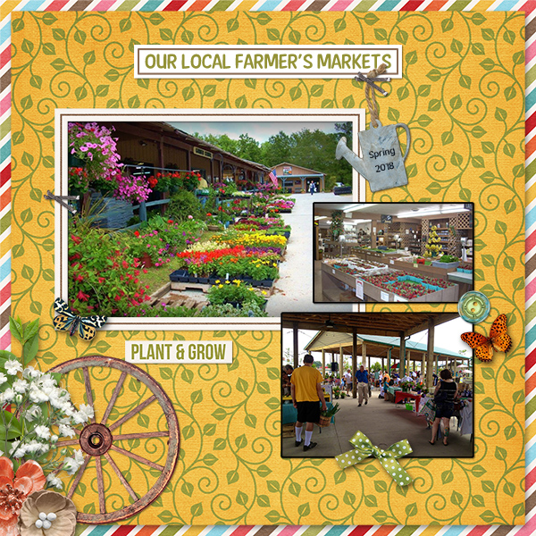 Farmers Markets