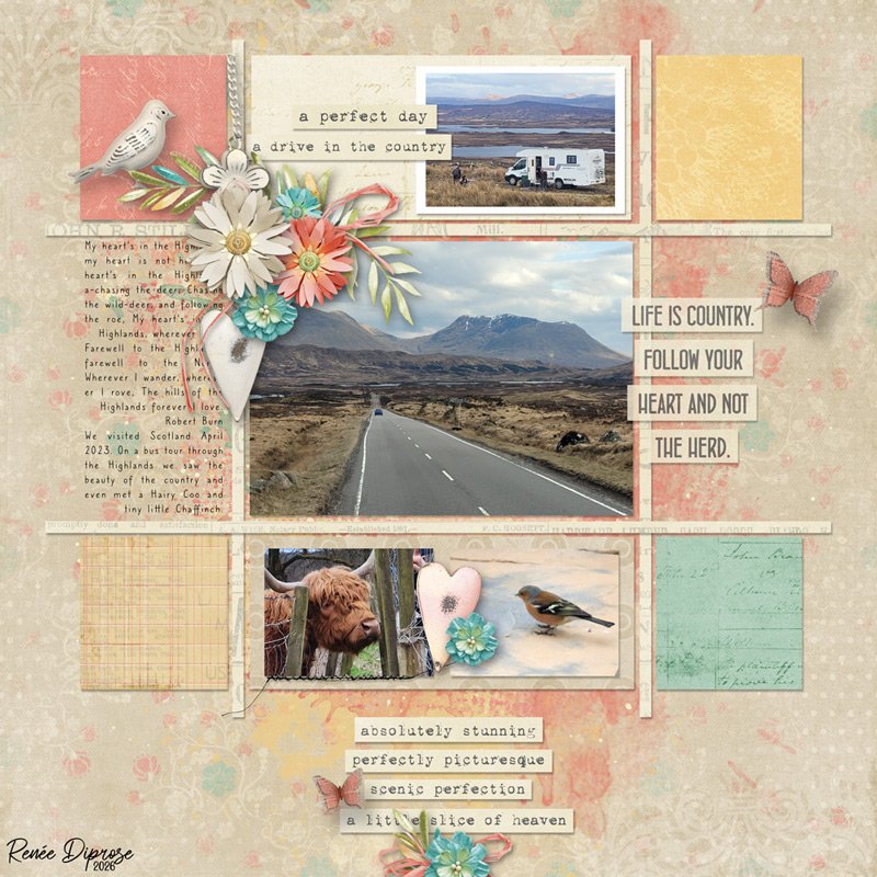 Farmhouse Chic