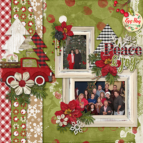 Farmhouse Christmas