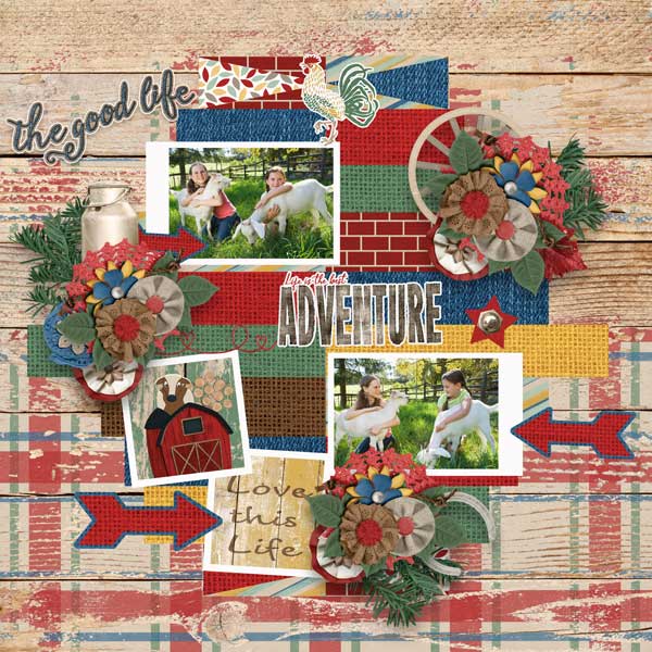 Farmhouse Rustic