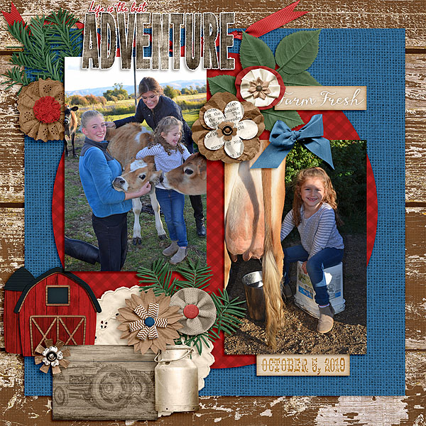 Farmhouse Rustic