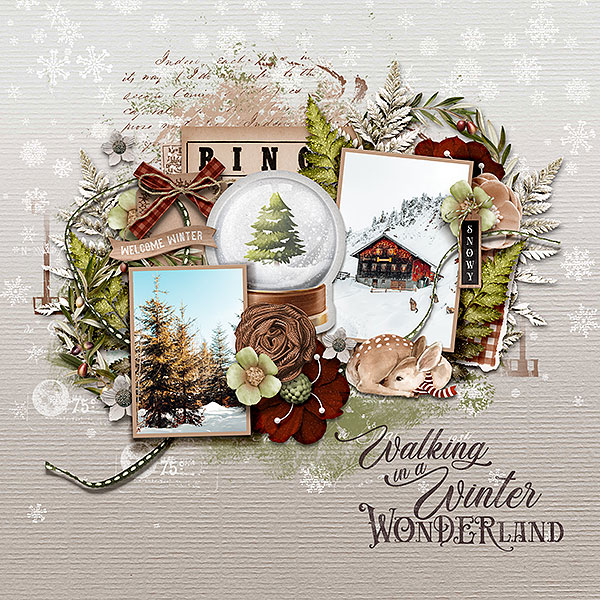 farmhouse winter