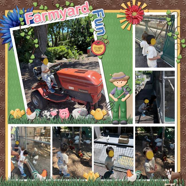 Farmyard Fun