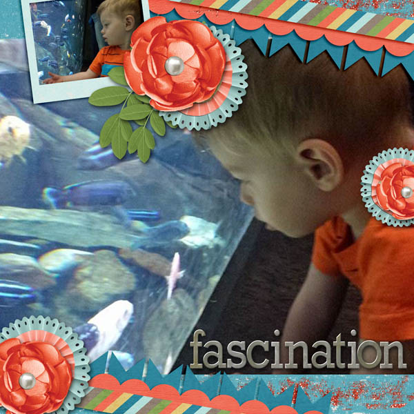 Fascination