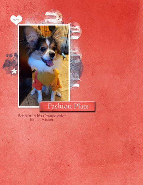 Fashion Plate