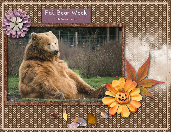 Fat Bear Week