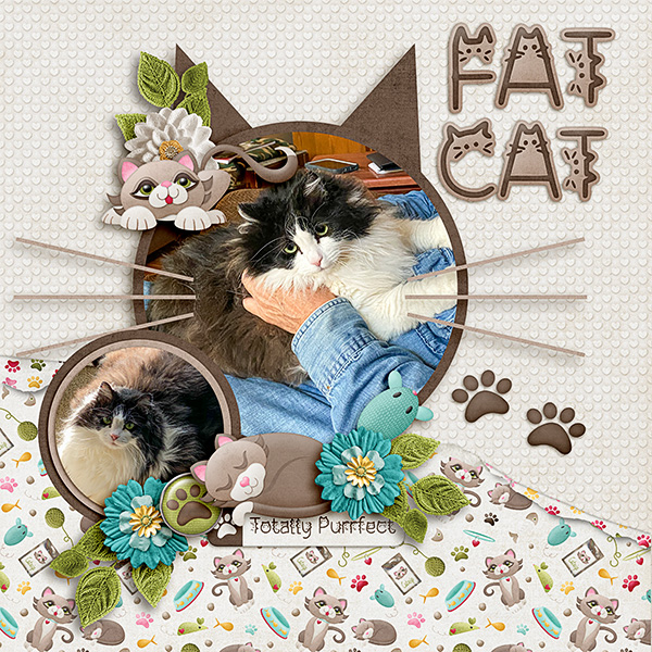 Fat-Cat