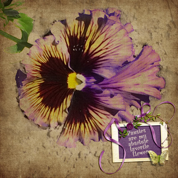 Favorite Flower