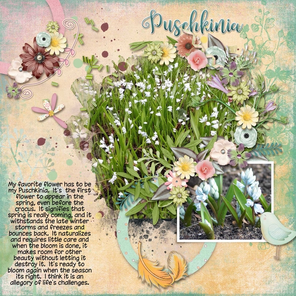 favorite flower