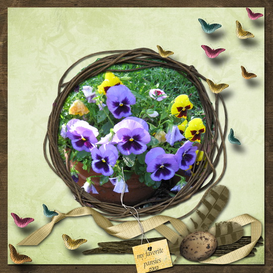 Favorite Pansies