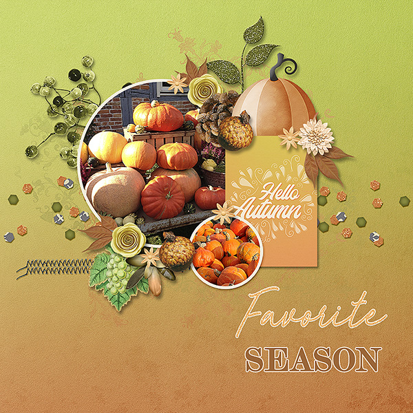 Favorite Season