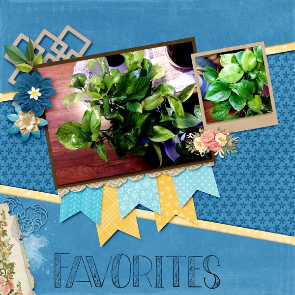 Favorites