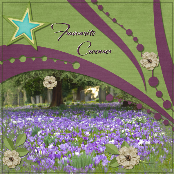 Favourite Crocuses