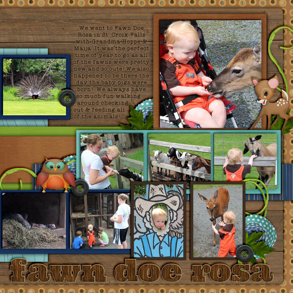 Fawn Doe Rosa