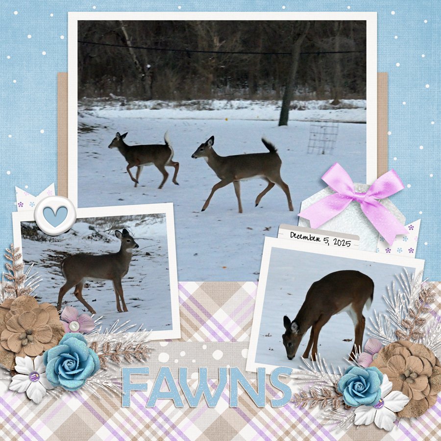 Fawns