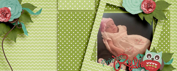 FB cover Rylile