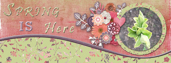 FB Header-Spring