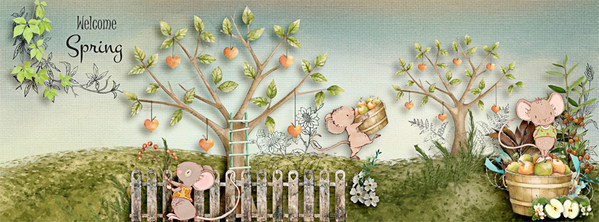 FB Timeline Cover Sept 2017