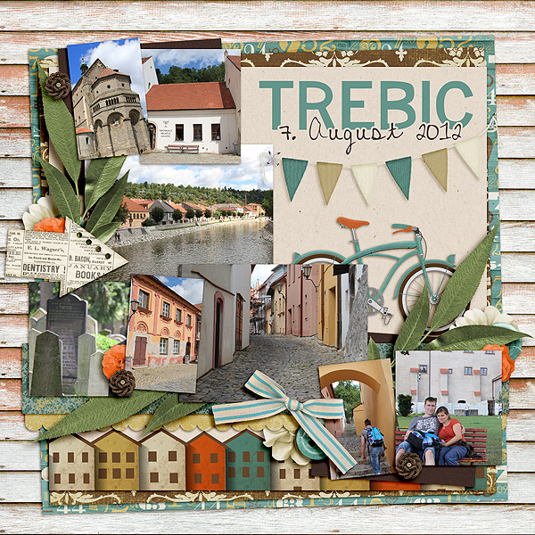 FB12-08Trebic-s
