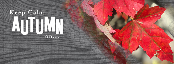 FBCover2020