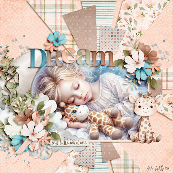 FD_dream