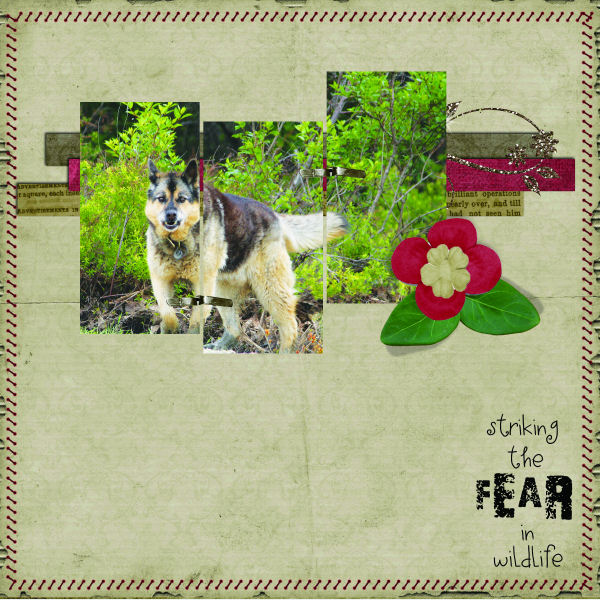 Fear