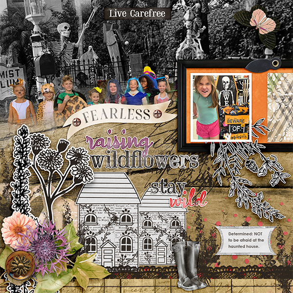 Fearless- Raising Wildflowers