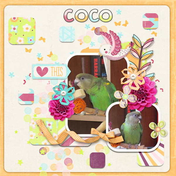 Feathered friend