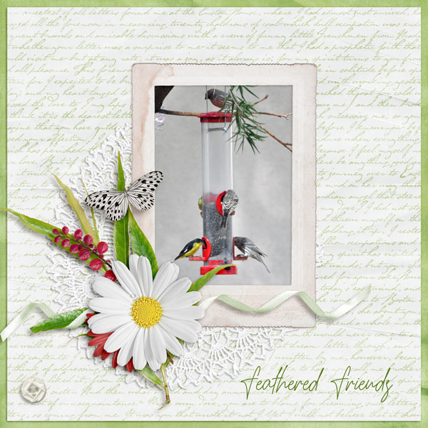 Feathered Friends