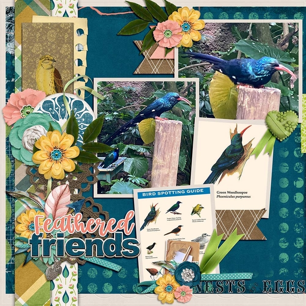 Feathered Friends