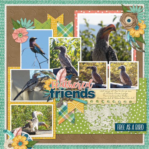 Feathered Friends