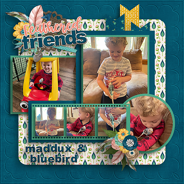Feathered Friends