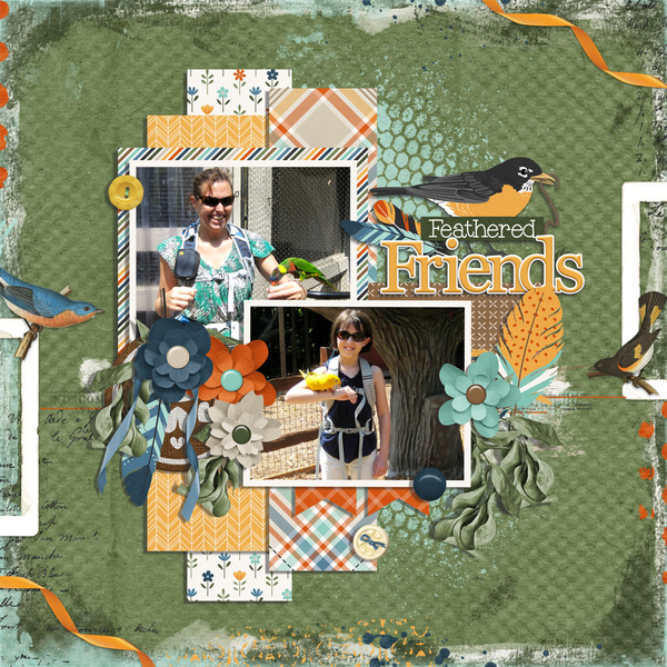 feathered friends