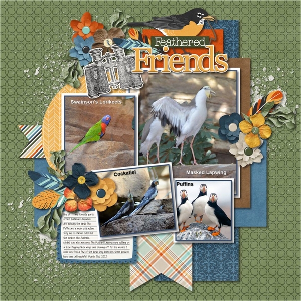 Feathered Friends