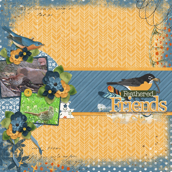 Feathered Friends