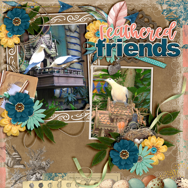 Feathered-Friends