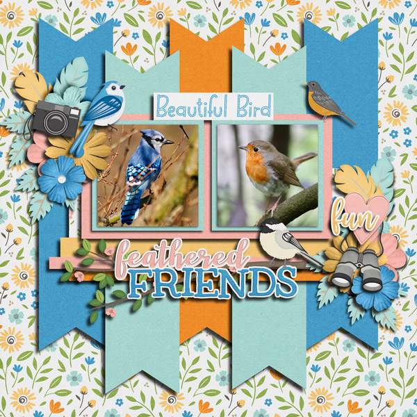 Feathered Friends