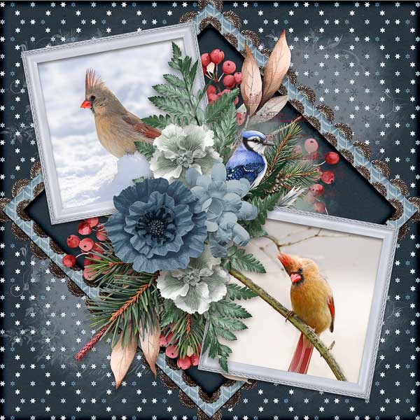 Feathered Friends