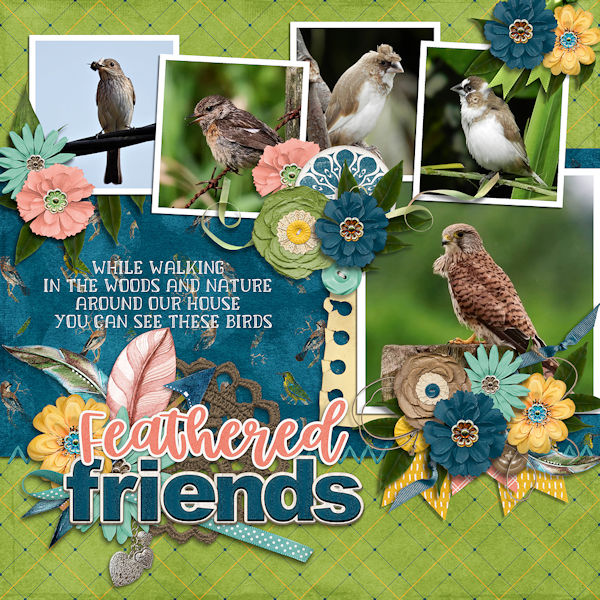 Feathered friens